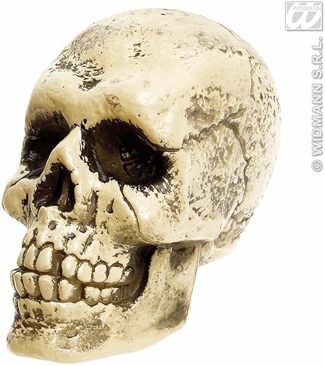 Teschio in plastica Teschio in plastica