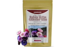 Cornflowers Mix Colors Bachelor Button Cornflower Flower Seeds for Planting (Approx.2000 Seeds-10 Gram)