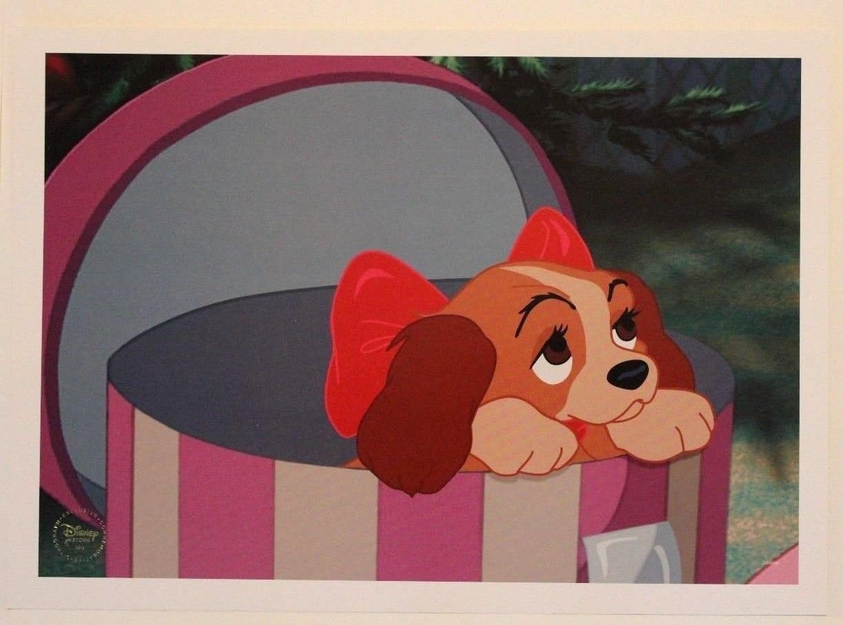 merle american bully