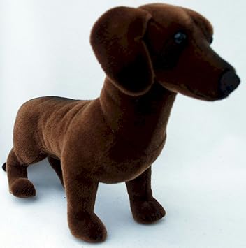 Koesener 6860 Glatthaard Ackel Hund Dackel Teckel Dachshund Lying Down 36 Cm Brown Bear Plush Animal Amazon De Spielzeug