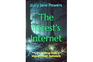 The Forest's Internet: Decoding the Mycorrhizal Network