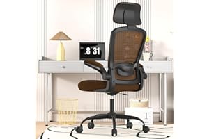 New Year Office Upgrade Ergonomic Desk Chair for Long Hours Sitting – Back & Neck Pain Relief, Adjustable Lumbar Support & He