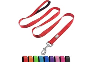 PenSeepet Basic Dog Leashes 6 FT Padded Handle Nylon Dogs Leashes for Small Dogs Red