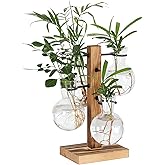 PAG-Mass Plant Propagation Station with 4 Glass Vases & Wood Stand, Hydroponic Air Planter for Indoor Plants, Unique Gardening Gift for Women & Plant Lovers, Desktop Terrarium for Home Decor