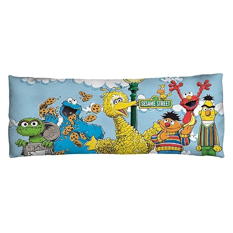 Sesame Street Retro Gang Plush Fleece Body Pillow 18x54 By