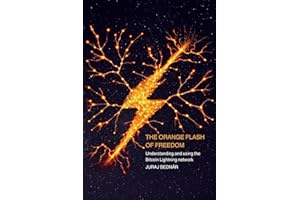 The Orange Flash of Freedom: Understanding and using the Bitcoin Lightning network