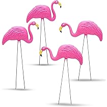 flamingo♡ 71te-h8uzkL._UF350,350_QL50_.jpg