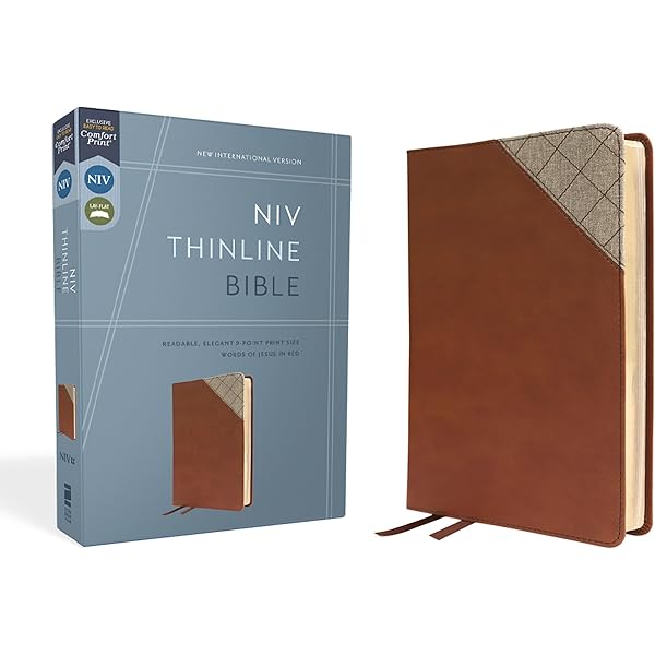 NIV, Thinline Bible, Leathersoft, Teal, Red Letter, Comfort Print