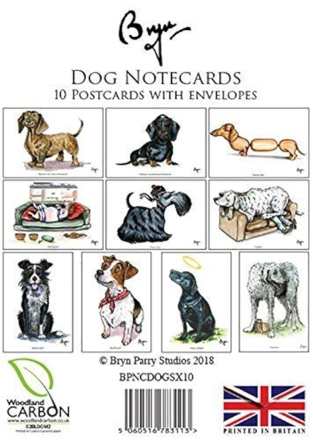 Bryn Parry 10 Cartoon dog notecards with envelopes Perfect for thank you's, short letter and thank you's