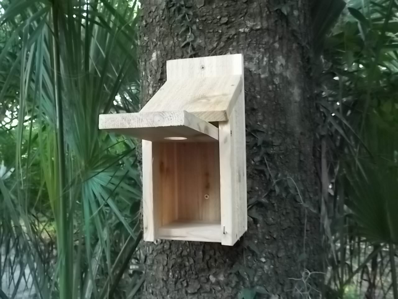 Amazoncom Bird House Bluebird Finch Wren Chickadee Tree