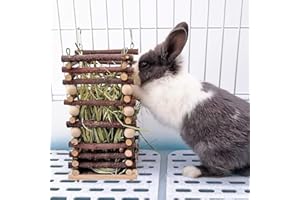 ALPHATOOL Hanging Apple Wood Rabbit Hay Feeder - Guinea Pig Grass Holder with 2 Hooks Biting Resistant Small Animals Chew Toy, Feeding Hay Manager Shelf for Chinchilla Bunny Hamster Gerbil Holiday Presents