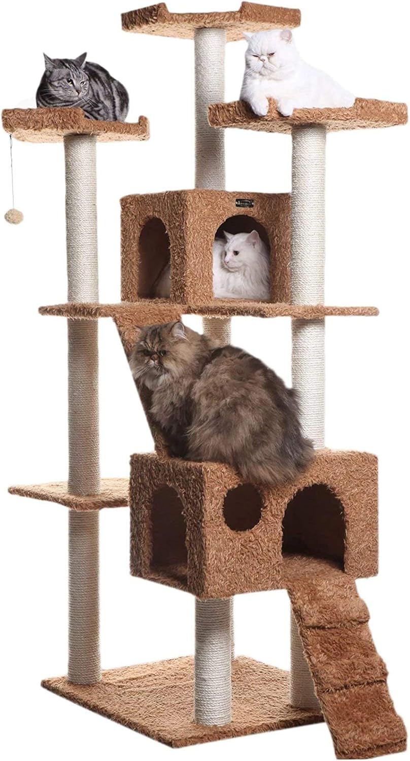 cat daddy approved cat trees