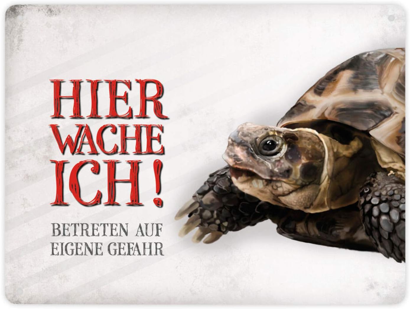 Metallschild XL mit Schildkröte Motiv und Spruch Betreten auf eigene