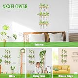 XXXFLOWER Wall Hanging Propagation Station 3 Tier Wooden Stand 9 Test Tubes view 6