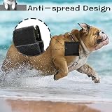 Sheryl&Rain Small Dog Treat Bag Waterproof Training Pouch with Carabiner Black view 4