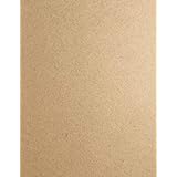 Paper Bag Kraft 100% Recycled Cardstock - 8.5 X 11 inch - Premium 100 LB. Heavyweight cover - 25 Sheets from Cardstock Wareho