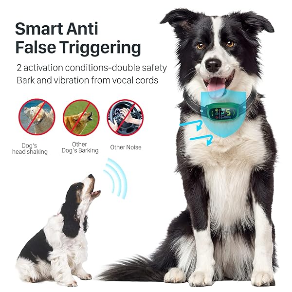 FAFAFROG DOG BARK COLLAR, RECHARGEABLE SMART COLLAR, ANTI BARKING TRAINING COLLAR WITH 5 ADJUSTABLE SENSITIVITY BEEP VIBRATION, BARK COLLAR FOR LARGE MEDIUM SMALL DOGS (GREEN)