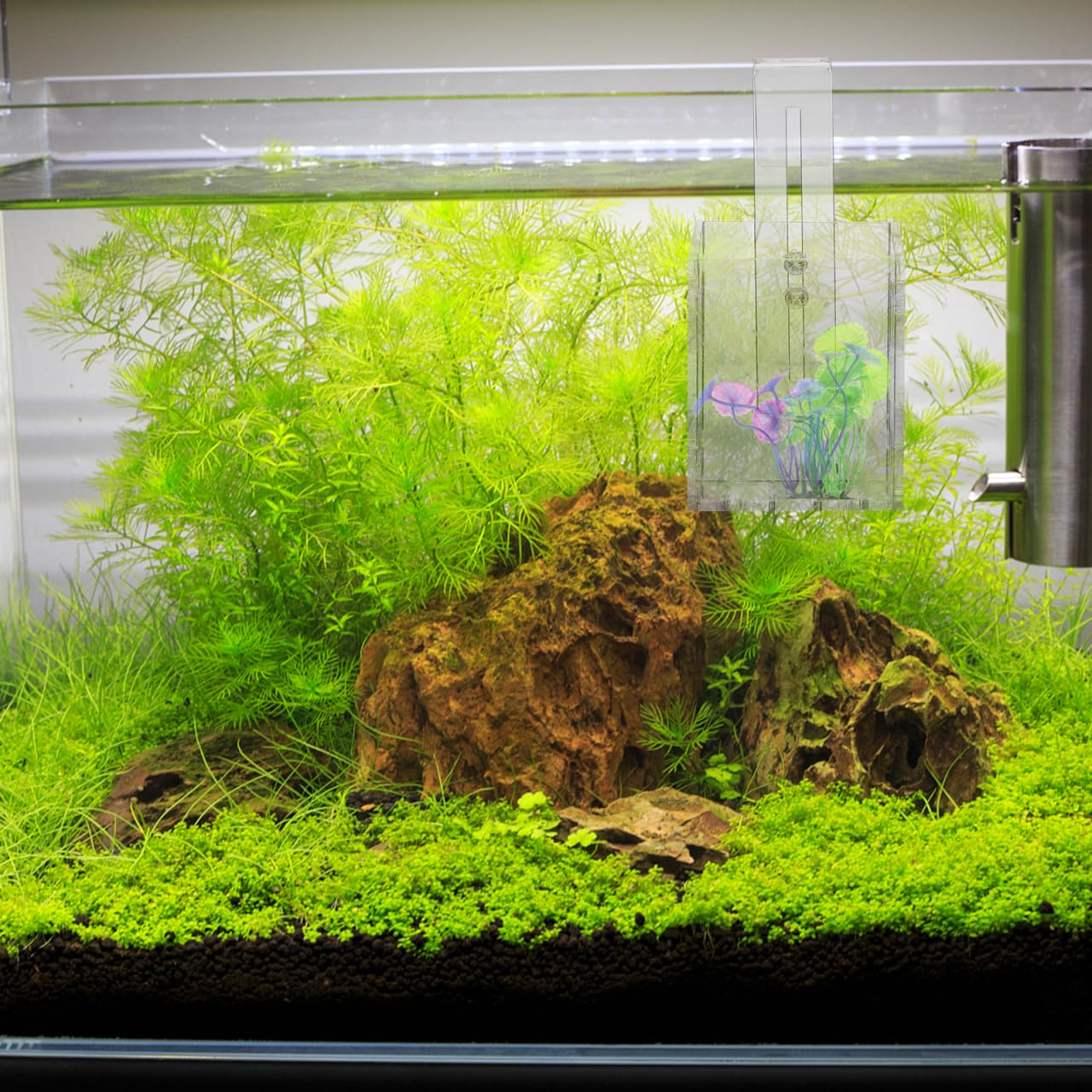 View 9