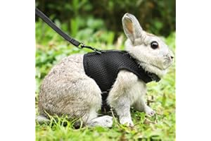 PETTOM Bunny Rabbit Harness with Stretchy Leash Cute Adjustable Buckle Breathable Mesh Vest for Kitten Small Pets Walking (Black,S)