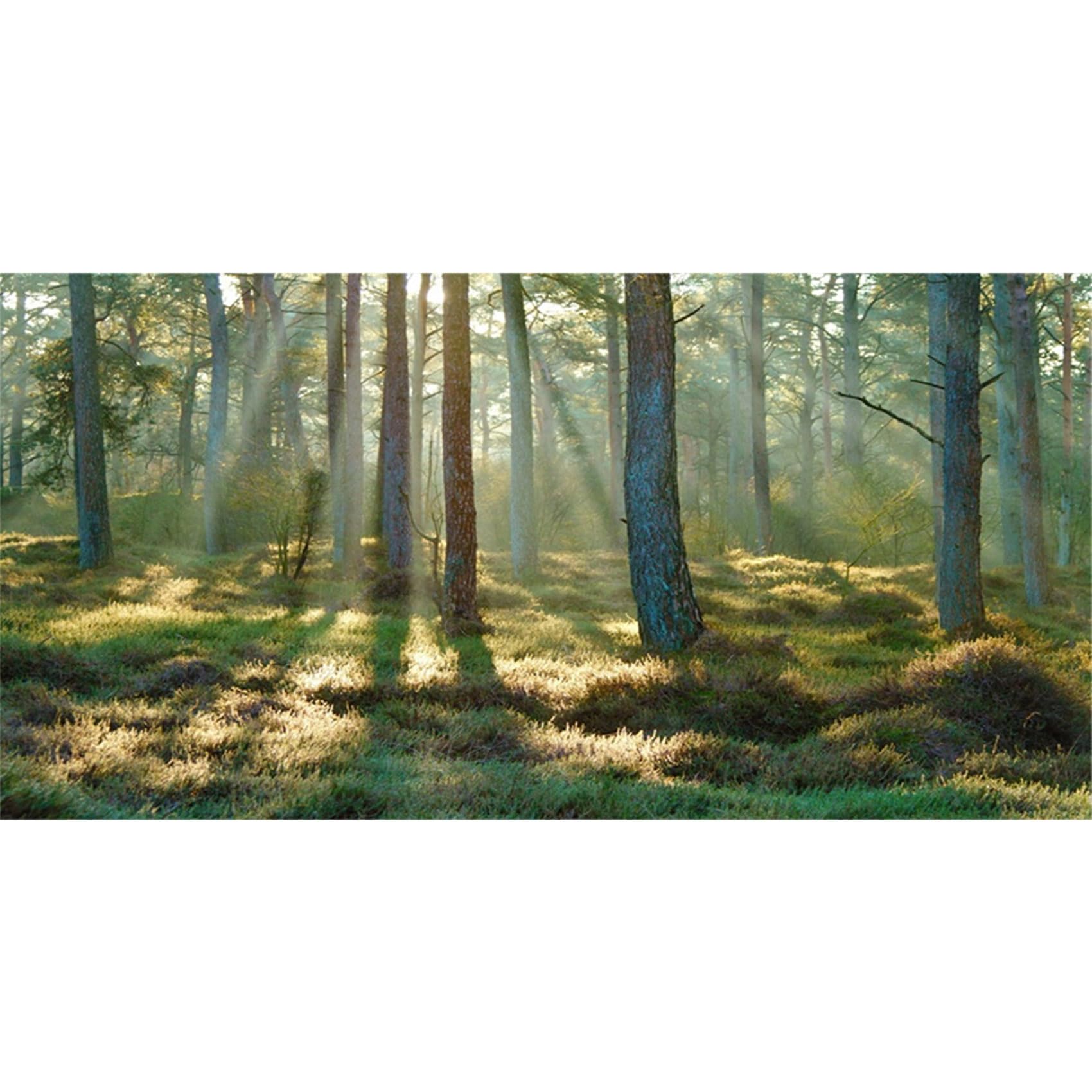 MIRRORANG 91x50cm Forest Terrarium Background Tropical Aquarium Background Sunny Green Huge Tree Reptile Habitat Background Durable Vinyl Background — image 1