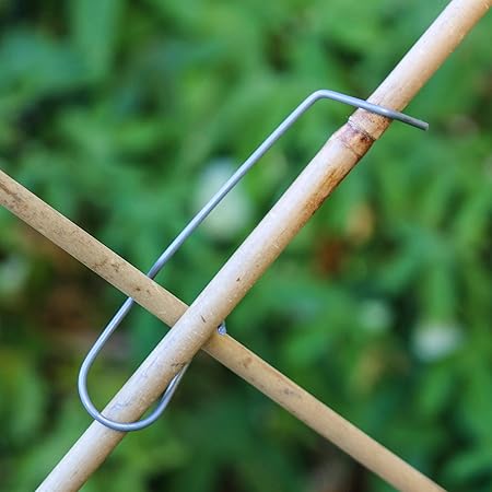 Pflanztalent Spalier Klammern Fur Rankgitter Rankhilfe Rankgerust Kletterhilfe Spaliere Zum Selber Bauen 25 Stuck Amazon De Garten