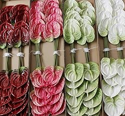 DODXIAOBEUL 3 PCS 27" Artificial Anthurium Lily