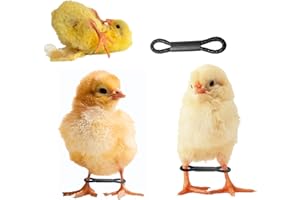 Shitailu 100 Pieces Baby Chicken Splay Leg Hobble Brace Adjustable Poultry Leg Bands for Newborn Spraddle Leg of Chick Bird Quails Ducks of 1 to 3 Days Newly Hatched
