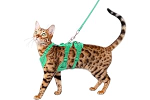 GoGoPaw Cat Harness and Leash Set for Walking, Escape Proof Soft Vest Harness for Cats, Adjustable Reflective Kitten Harness for Small Medium Large Cats, Breathable Kitty Harness, Turquoise S