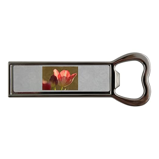 Compra PickYourImage Detalle de cierre de tulipán rojo con abridor ...