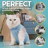 Avont Cat Recovery Suit Post Surgery Elizabethan Collar Alternative Blue M view 4