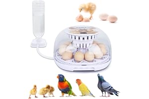 NORJIN Egg Incubator, 12 Eggs Incubator for Hatching Eggs, Digital Incubator Chicken Egg Incubator with Automatic Egg Turning and Water Adding for Hatching Chickens Birds Ducks