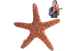 Starfishes Pillow, Soft Lifelike Stuffed Animal Plush Decorative Throw Pillows, Ocean Room Decor for Couch Bed Bedroom Living
