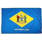 FlagSource Delaware Nylon State Flag, Made in the USA, 3x5'
