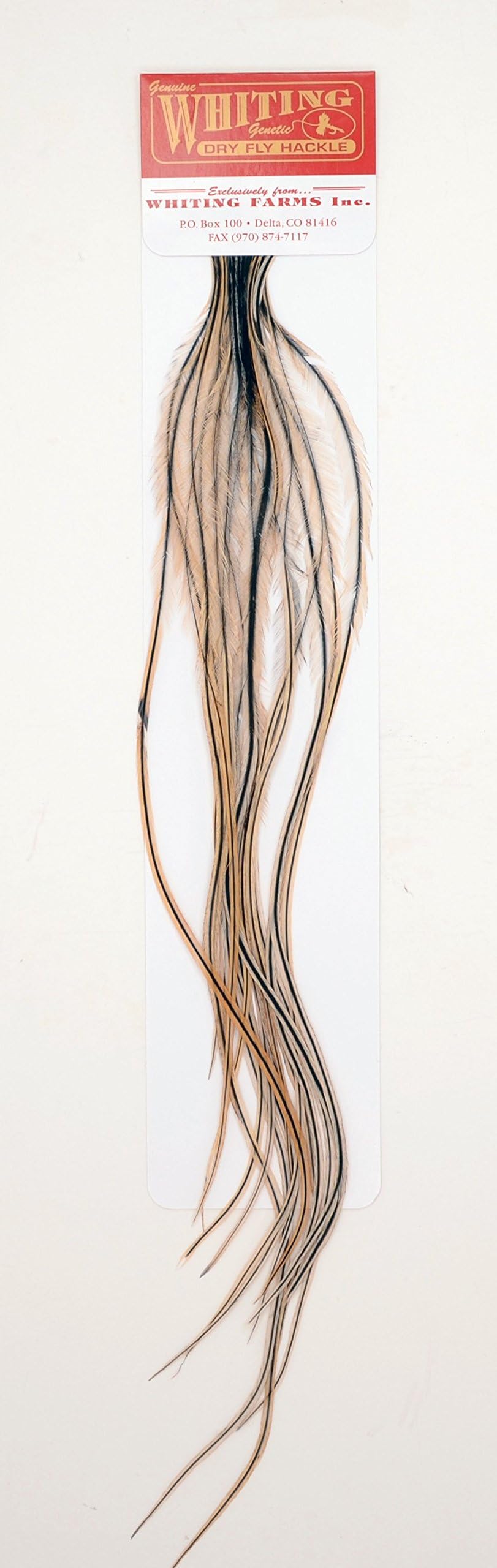 Whiting Farms 100's Saddle Hackle Pack