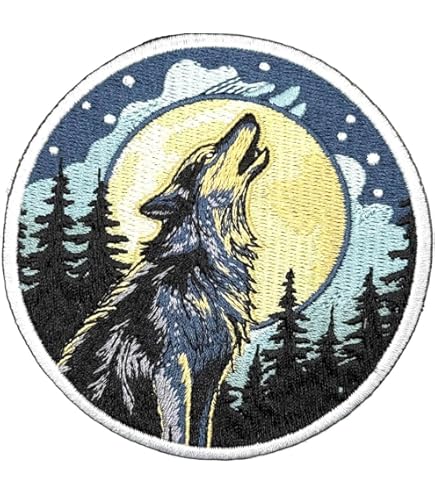 Amazon.com: Maryland Blue Crab Patrol Patch - 2