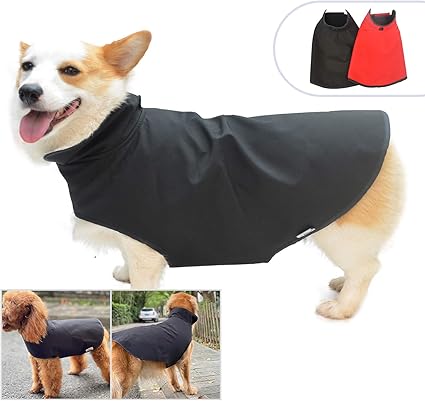 superdry ladies coats sale