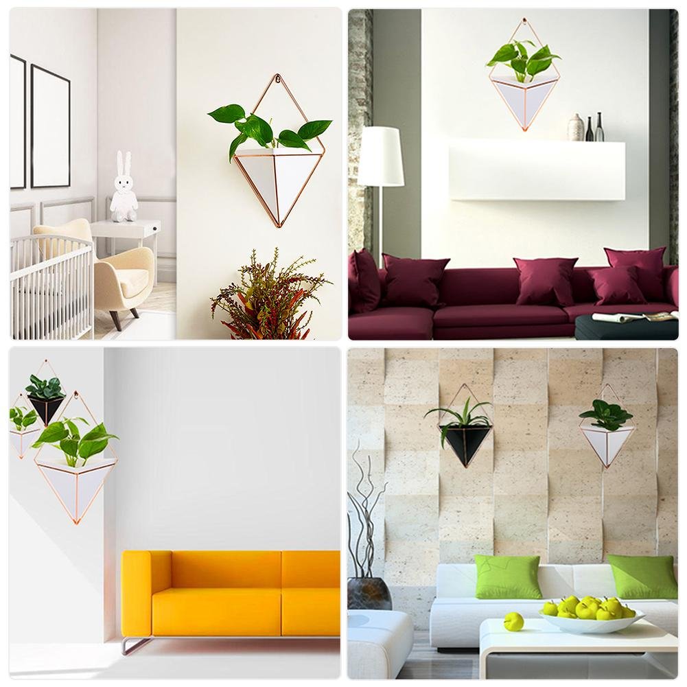 Macetero Suculentas Colgantes De Pared De Bonsai Ornamento De Sala