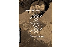 Stalker (The Criterion Collection) [DVD]