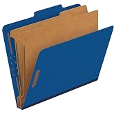 Pendaflex Classification File Folders,1 Divider, Durable File Organizer for Home, School or Office, Letter-Size Folders for Files, Paper Organizer, Durable Prongs, (B006NVMJCC)