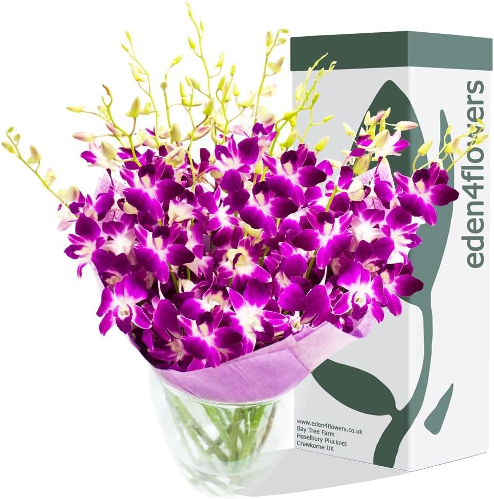 Eden4flowers TAIWAN ORCHIDS BOUQUET - Birthday Flowers Thank You and Anniversary Bouquets