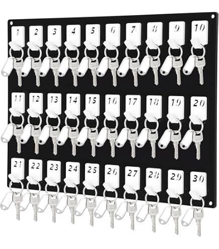 CarBowz EZ Line Key Board Key Organizer with Numbered Self Closing