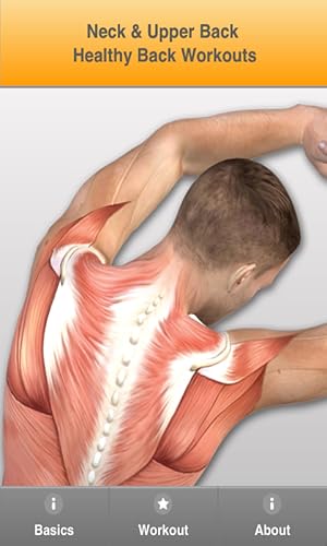 Upper Back Back Stretches To Improve Posture Prevent Back Pain