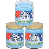 Smoke Odor Exterminator 13oz Jar Candles (Clothesline Fresh, 3) Set of Three Candles.