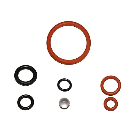 Wartungssatz Dichtung für Brühgruppe Supportventil geeignet für Saeco Philips Spidem Gaggia Set-12