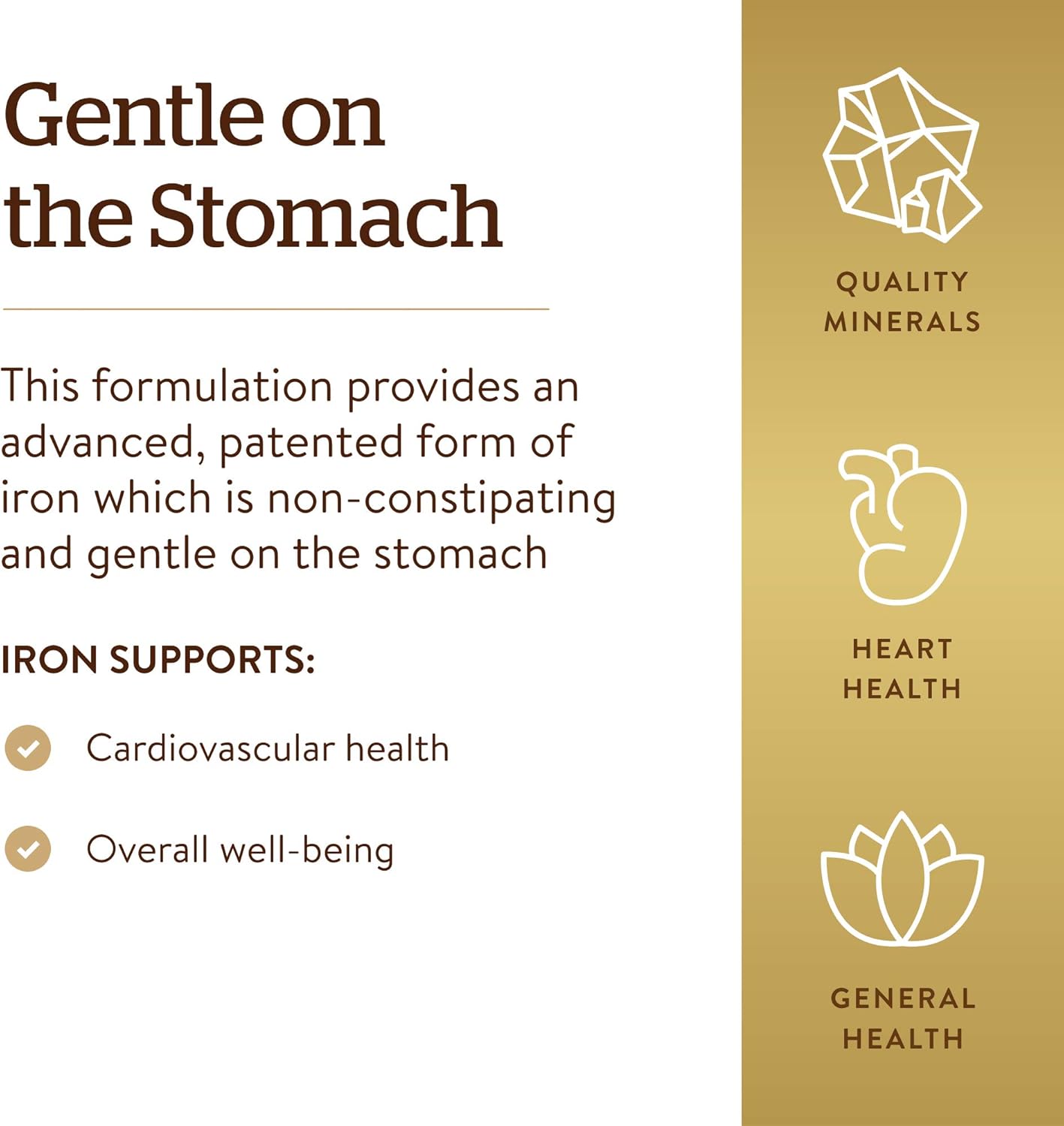 Solgar Gentle Iron, 180 Vegetable Capsules - Ideal for Sensitive Stomachs - Non-Constipating - Red Blood Cell Supplement - Non GMO, Vegan, Gluten Free, Dairy Free, Kosher - 180 Servings: Health & Personal Care