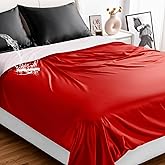 Tisancy Waterproof Blanket Queen Size, Red TPU Polyester 78'' x 82'' Water Proof and Stain Resistant Mattress Protector Mat for Bed, Leakproof Protective Pet Mat