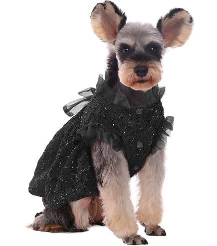Amazon.com : Pet Dog Cat Black Dress Halloween Costume Cosplay Puppy Kitten  Coat with Belt Christmas Party : Pet Supplies