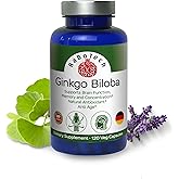 RaDoTech Ginkgo Biloba, Memory, Focus & Brain Function Support, Antioxidant-Rich, Plant-Based, GMP, Herbal Nootropic Vegetarian Capsules, 120 Count (Pack of 1)