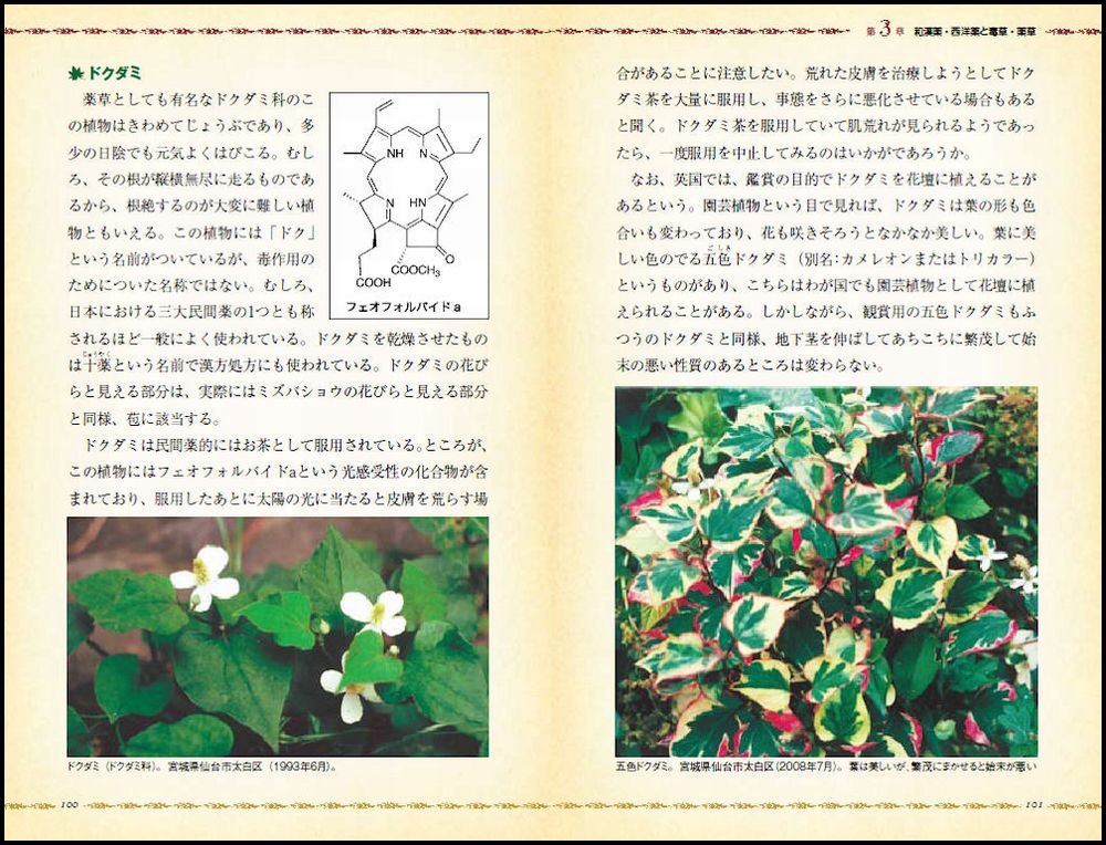 毒草 薬草事典 命にかかわる毒草から和漢 西洋薬 園芸植物として使われているものまで サイエンス アイ新書 船山 信次 本 通販 Amazon
