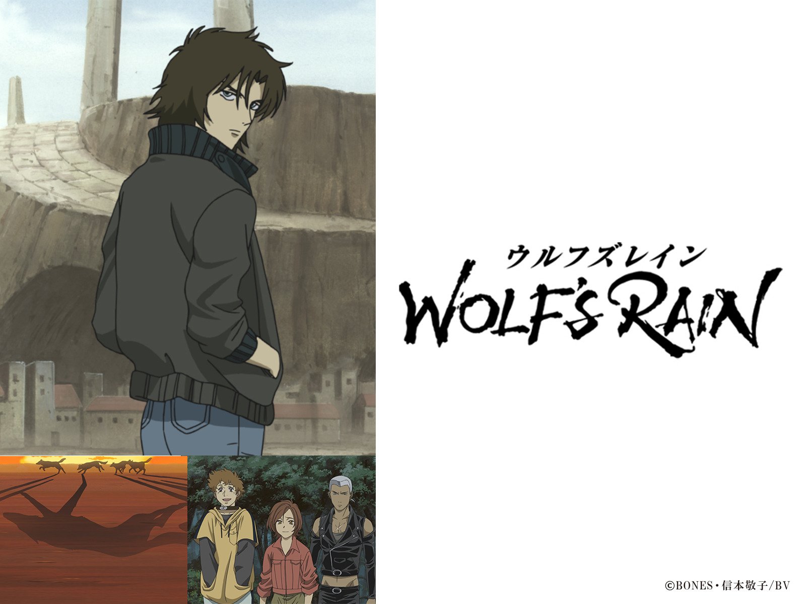 Amazon Co Jp ウルフズレインを観る Prime Video